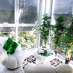 Apartment Modern Luxury Duplex In Düsseldorf-benrath Düsseldorf